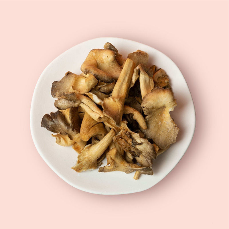Oyster Mushroom Chips (8x40g)